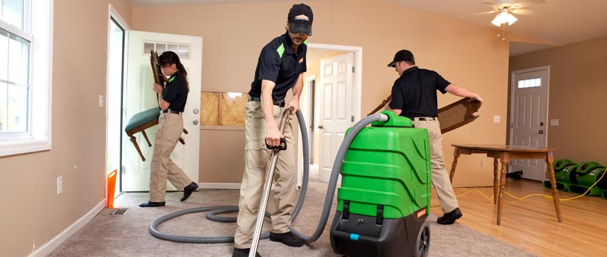 Denville, NJ cleaning services